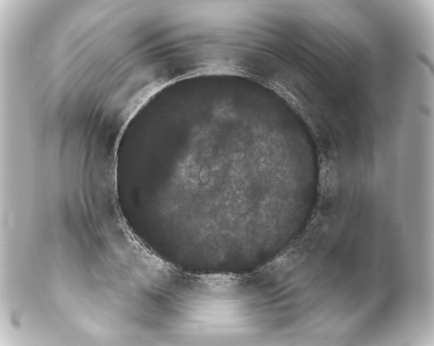 X0000100200836200806271640