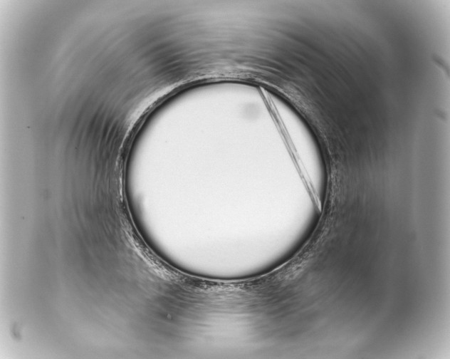 X0000100200838200806271640