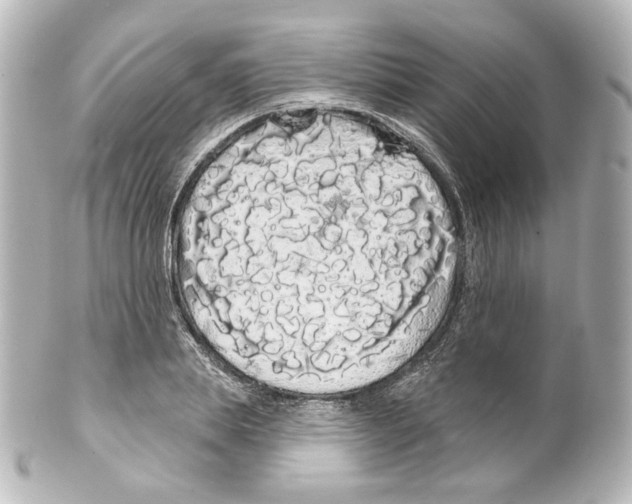 X0000100200839200806271640