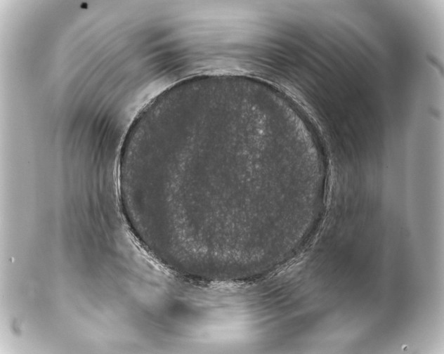 X0000100200840200806271640