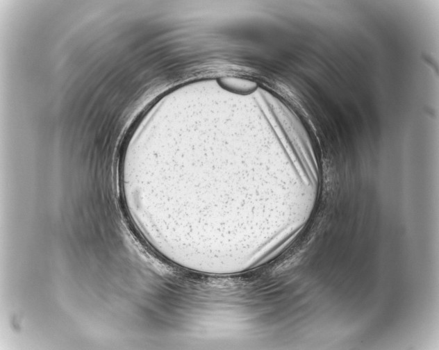 X0000100200843200806271640