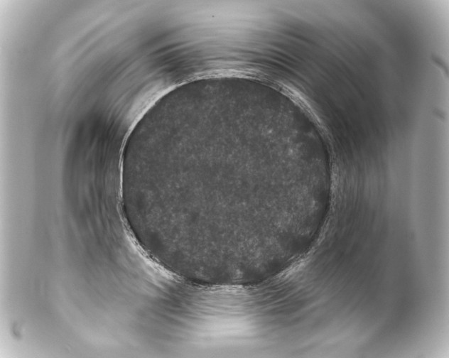 X0000100200844200806271640