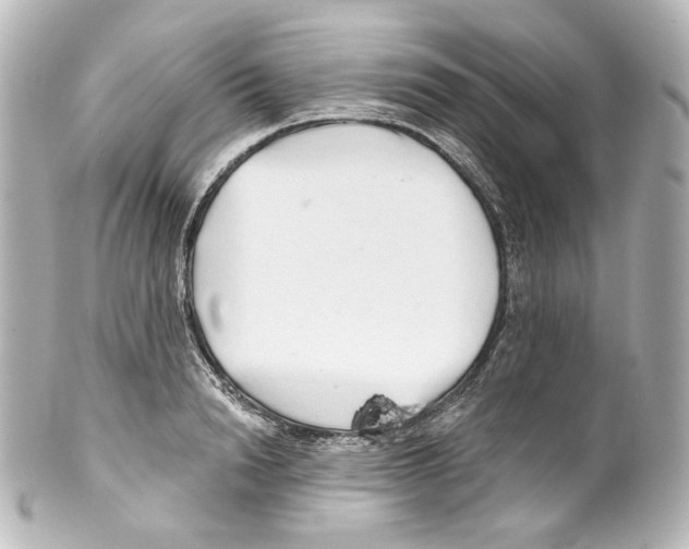 X0000100200846200806271640