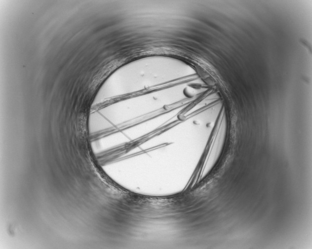X0000100200849200806271640