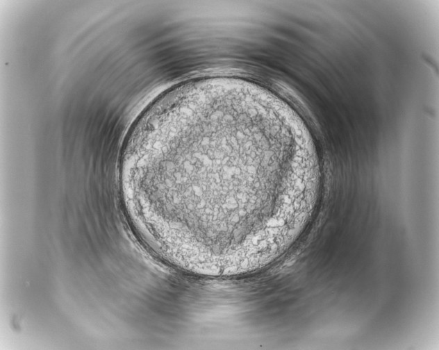 X0000100200852200806271640