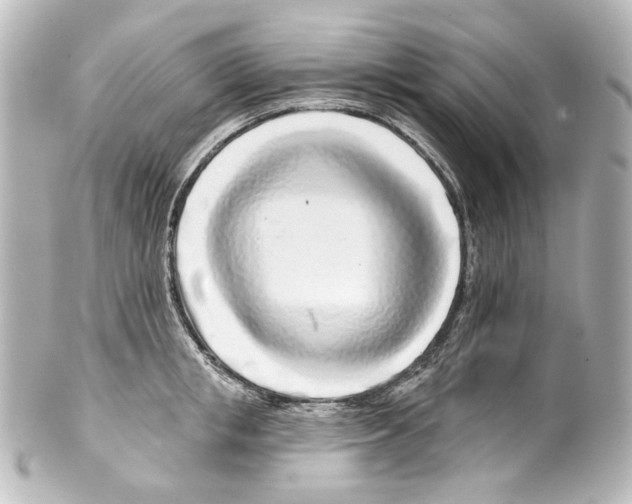 X0000100200853200806271640