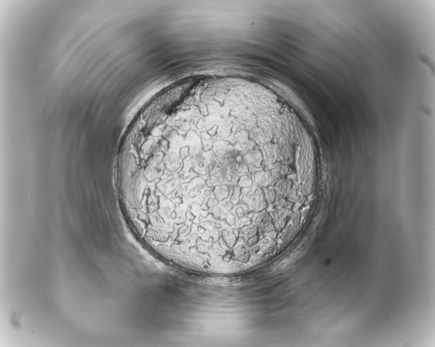 X0000100200855200806271640