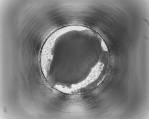 X0000100200856200806271640