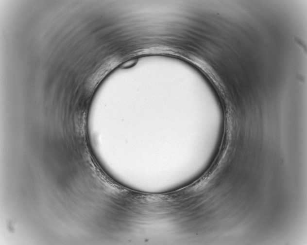 X0000100200857200806271640