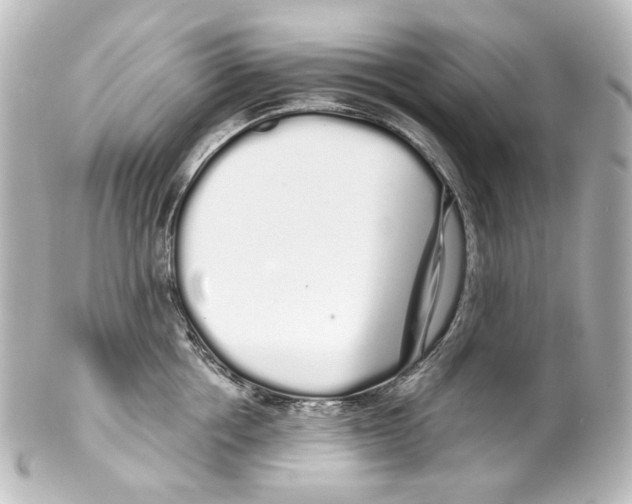 X0000100200858200806271640