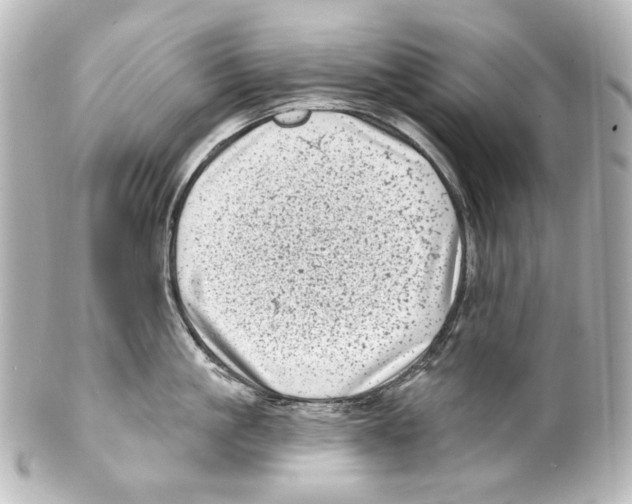 X0000100200861200806271640