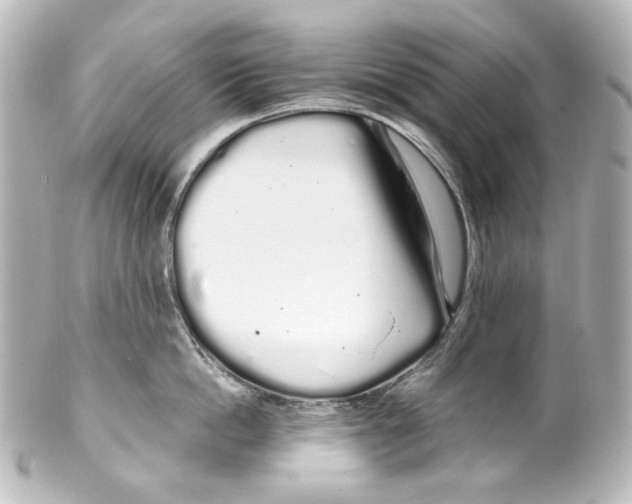 X0000100200862200806271640