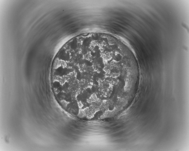 X0000100200863200806271640