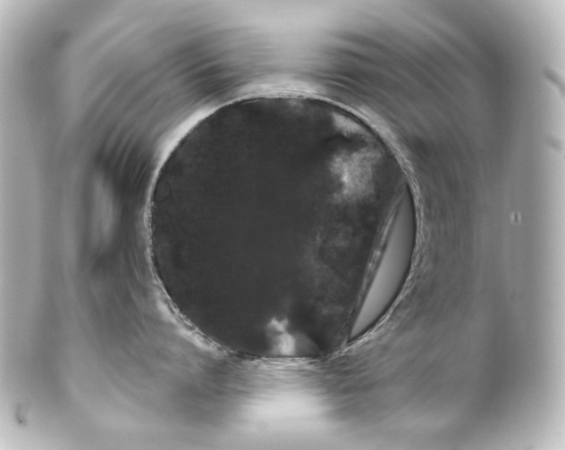 X0000100200864200806271640