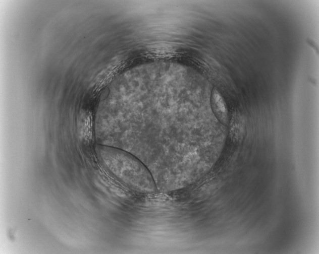 X0000100200866200806271639