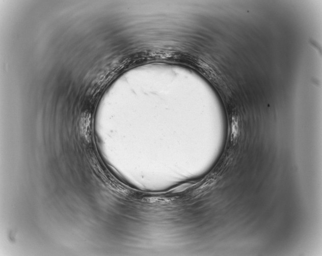 X0000100200867200806271639