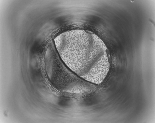 X0000100200868200806271639