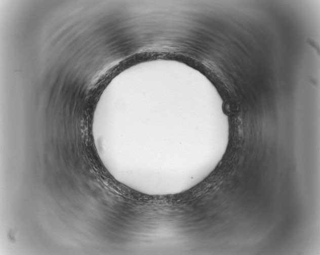 X0000100200872200806271639