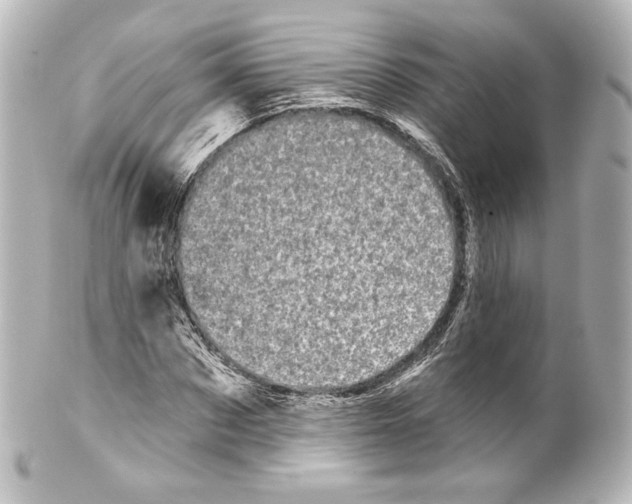 X0000100200873200806271639