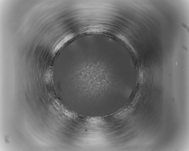 X0000100200874200806271639