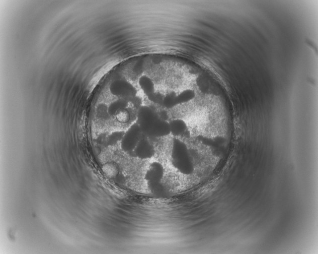 X0000100200875200806271639