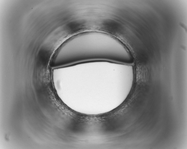 X0000100200876200806271639