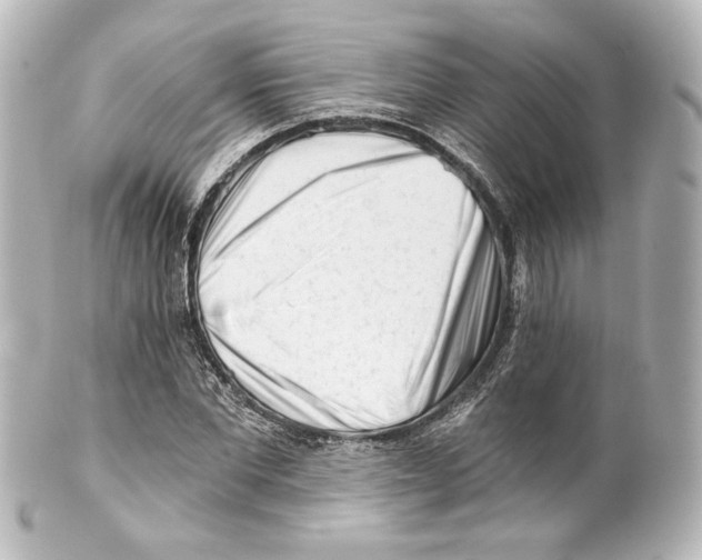 X0000100200877200806271639