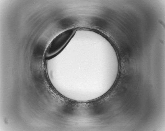 X0000100200880200806271639