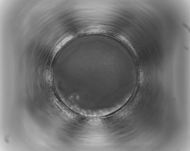 X0000100200882200806271639