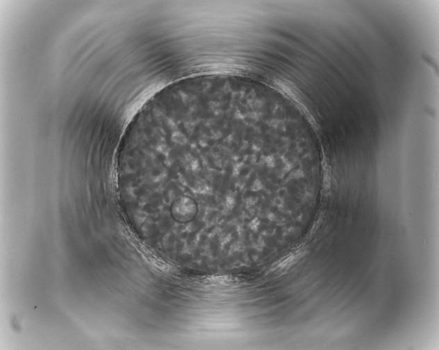 X0000100200883200806271639