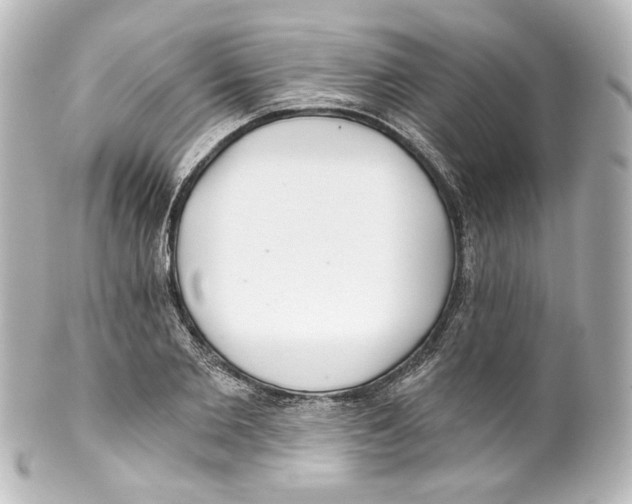 X0000100200885200806271639