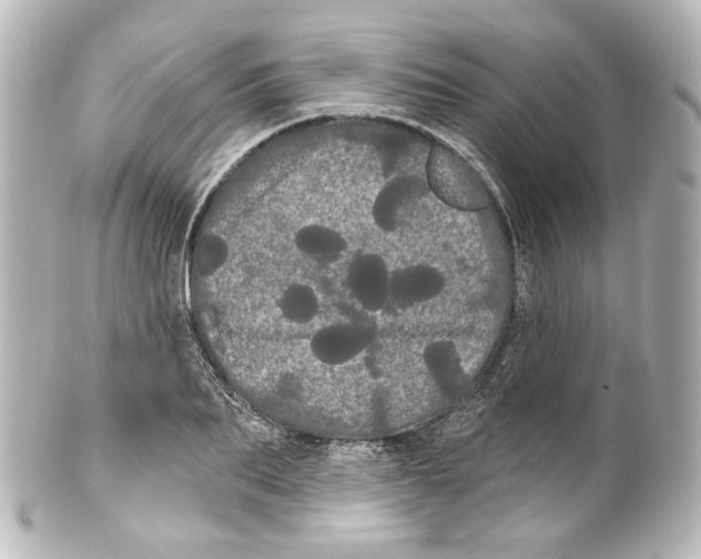 X0000100200887200806271639