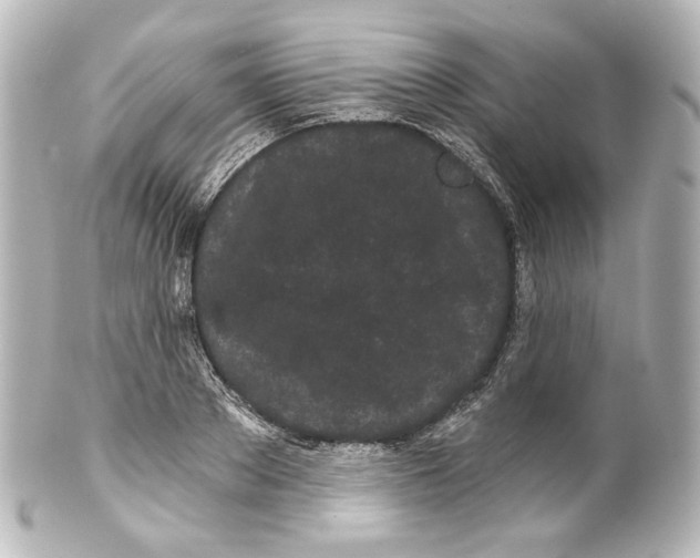 X0000100200889200806271639