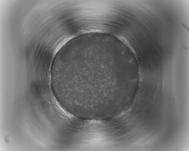 X0000100200890200806271639