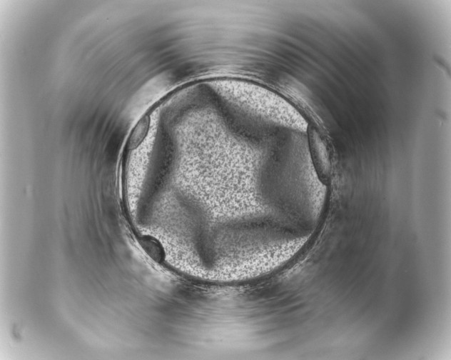 X0000100200892200806271639