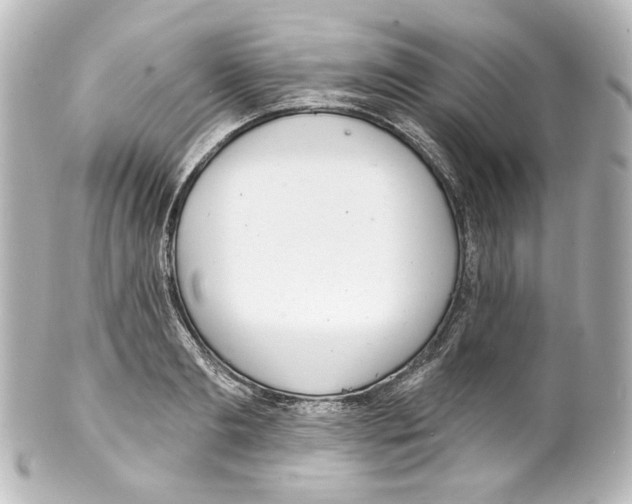 X0000100200893200806271639