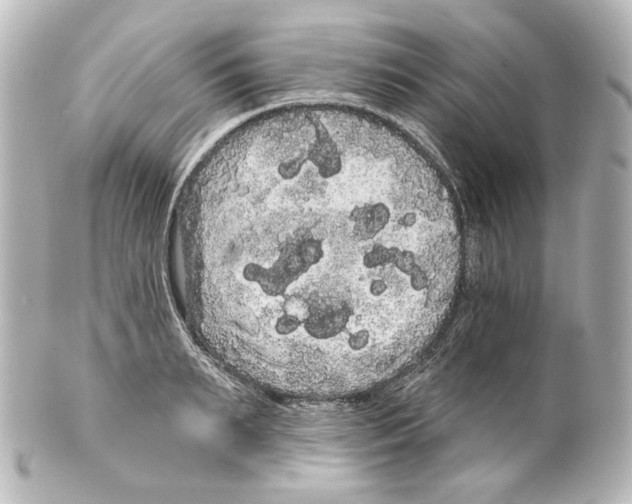 X0000100200895200806271639