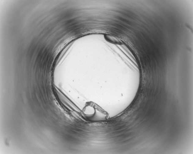 X0000100200898200806271639