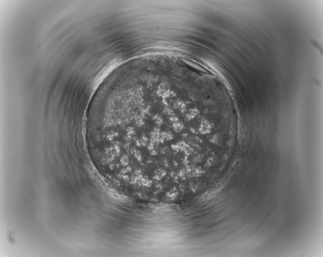 X0000100200899200806271639