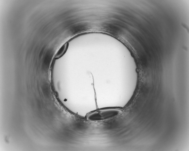 X0000100200900200806271639