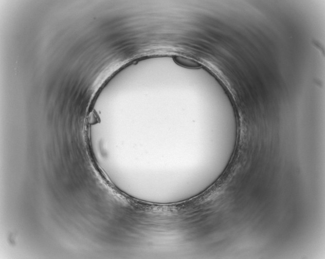 X0000100200901200806271639