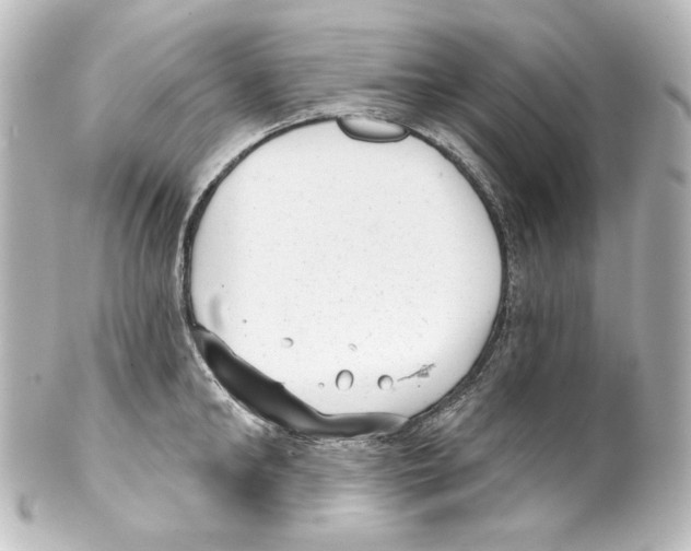 X0000100200902200806271639