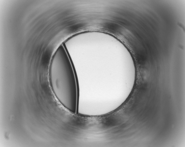 X0000100200904200806271639