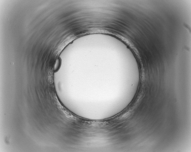 X0000100200905200806271639