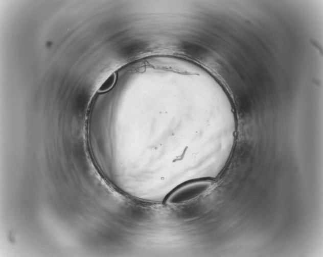 X0000100200906200806271639