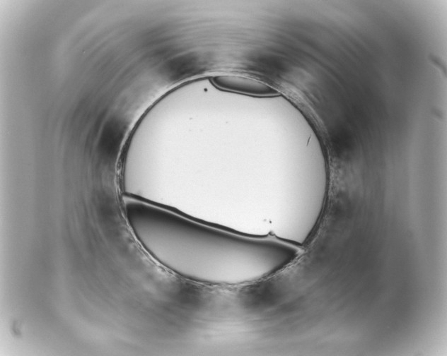 X0000100200908200806271639