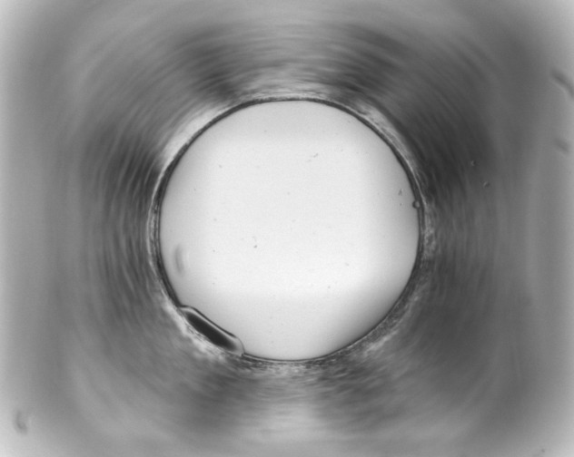 X0000100200909200806271639