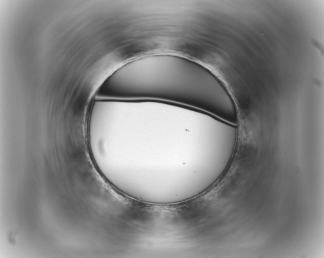 X0000100200910200806271639