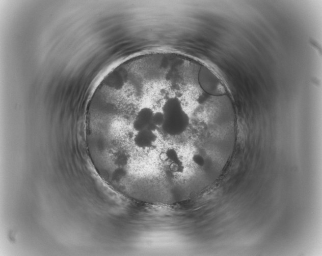 X0000100200911200806271639