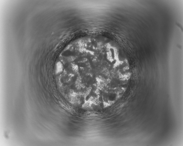 X0000100200913200806271638